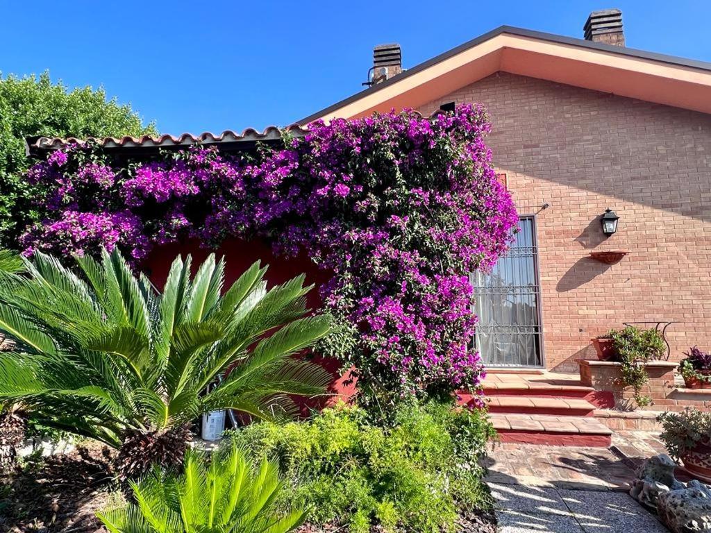 بورتو سان جورجيو B&B La Casa Di Era المظهر الخارجي الصورة